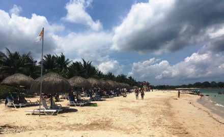 Beachside in Barú, Colombia (photo by Loren Moss)