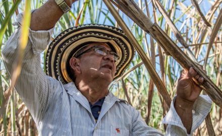 A farmer in Sucre, one of the departments covered by the insurance.