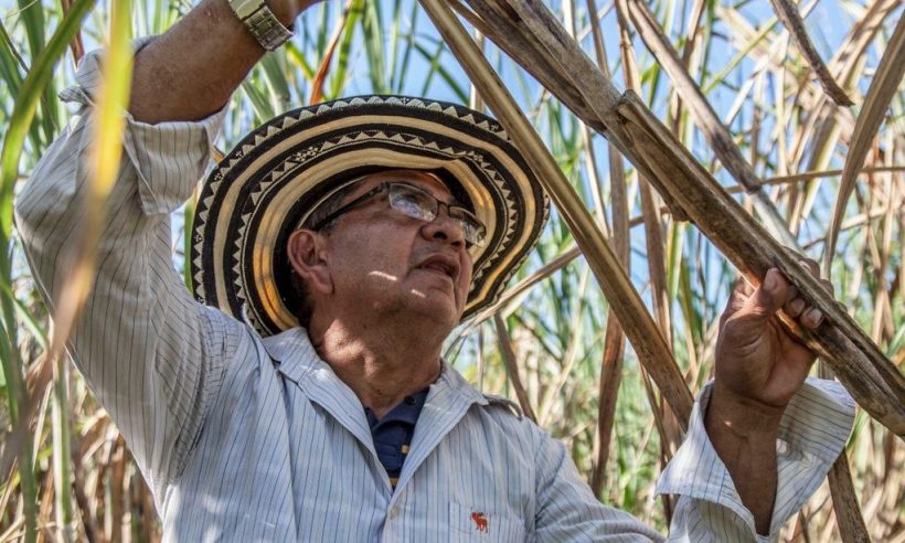 A farmer in Sucre, one of the departments covered by the insurance.