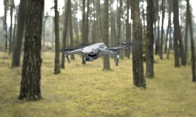 Drone in woods