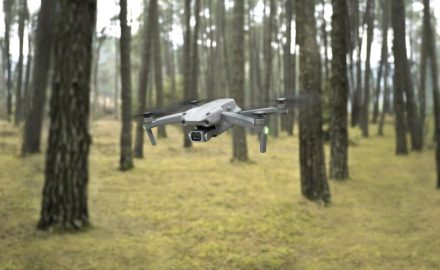 Drone in woods