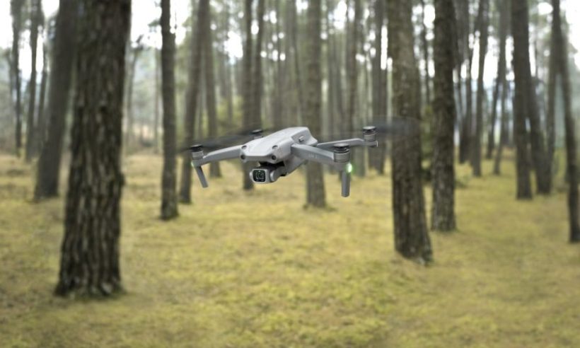 Drone in woods