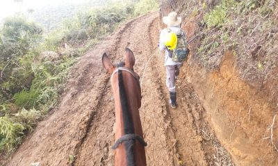 Mountain access trail to Collective Mining's Guayabales project in Caldas, Colombia