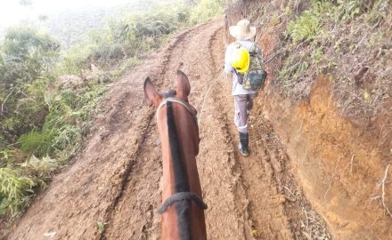 Mountain access trail to Collective Mining's Guayabales project in Caldas, Colombia