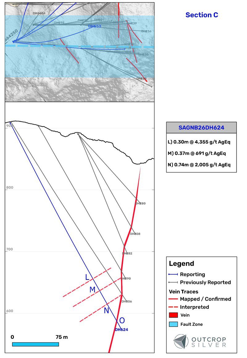 Geological cross-section C of the Las Maras vein system