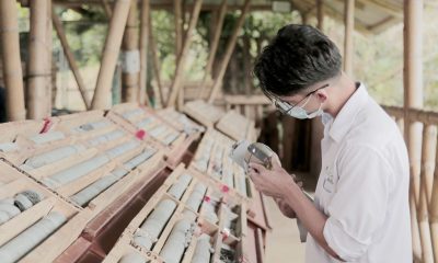 Geologist logging drill core samples at Outcrop Silver's Santa Ana project