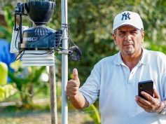 A man with his phone and a 5G pole. Courtesy of Mintic