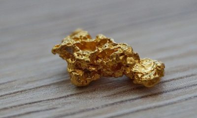 Raw gold nugget on a wooden surface