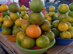 Pyramids of green and orange citrus fruit stacked in colorful plastic bowls at a market stall