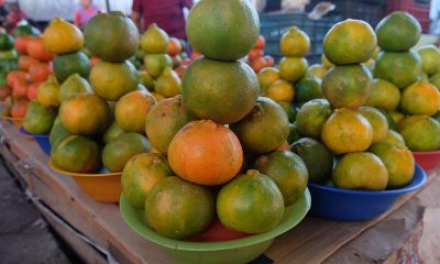 Pyramids of green and orange citrus fruit stacked in colorful plastic bowls at a market stall