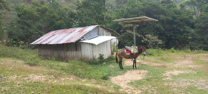 Small wooden school building with a rusted metal roof in a clearing, a saddled horse outside