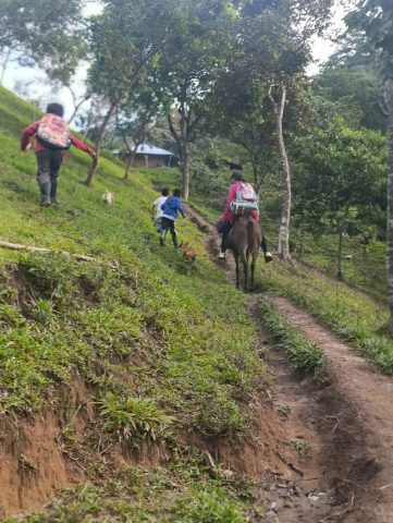 Children with backpacks walk up a steep dirt trail through green hillside, one on horseback