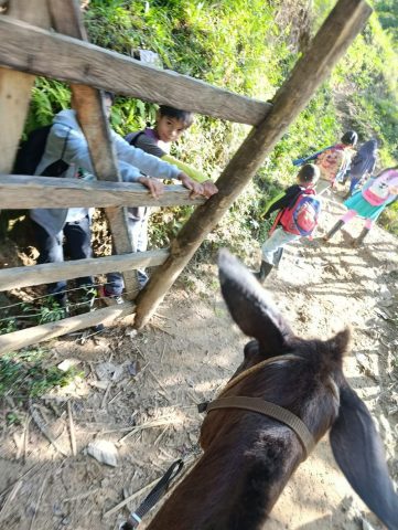 View past a horse's ears of students with backpacks walking a hillside trail past a wooden fence