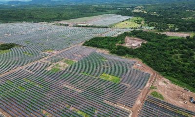 Aerial view of rows of solar panels at the Puerta de Oro solar park, with forest and hills in the background